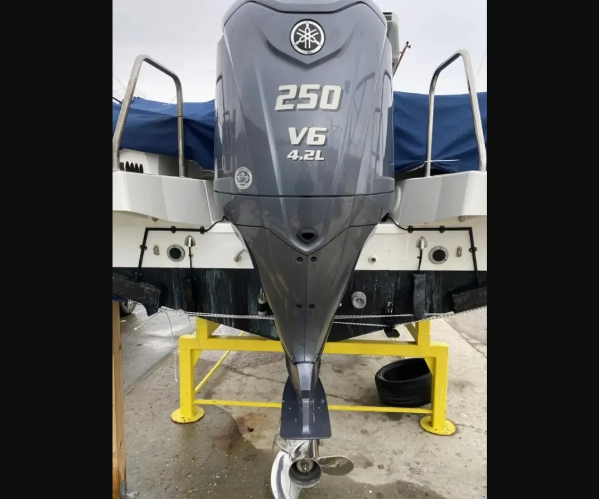 JEANEAU MERRY FISHER 795 SPORT (5)