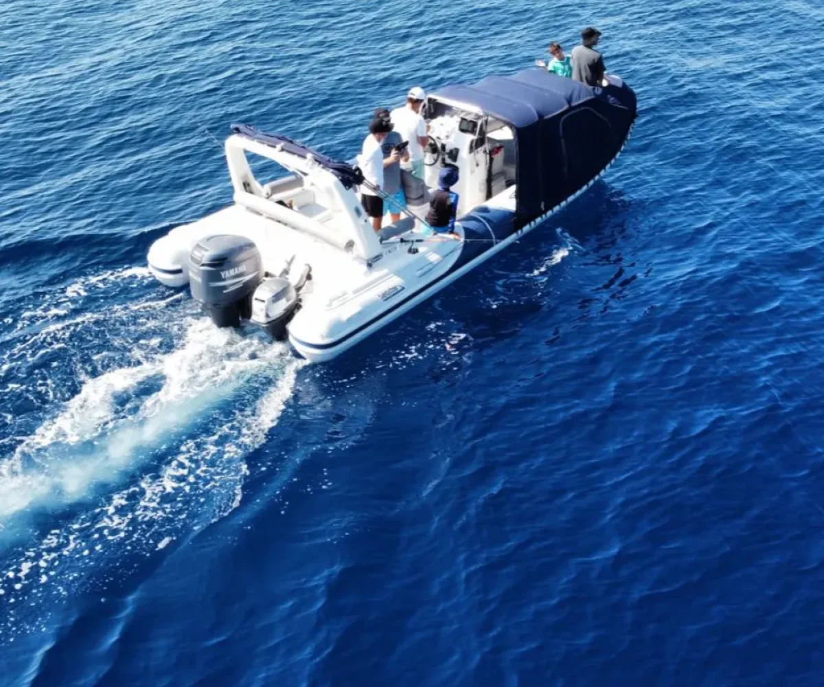 a7461e4f-cad5-4d40-8258-8c112c097ae2