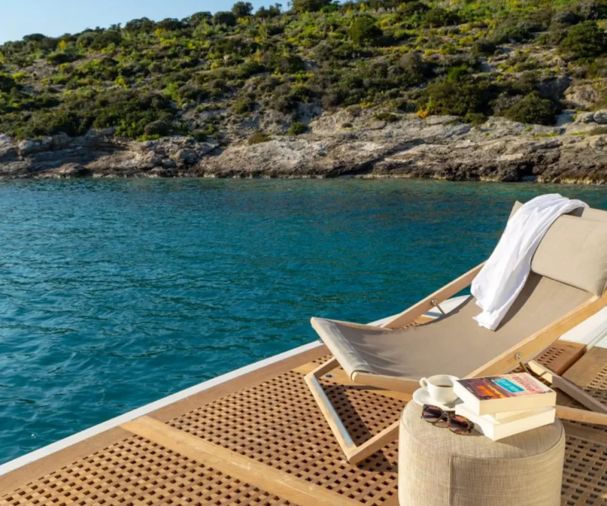 the-bird-9700-1000x800