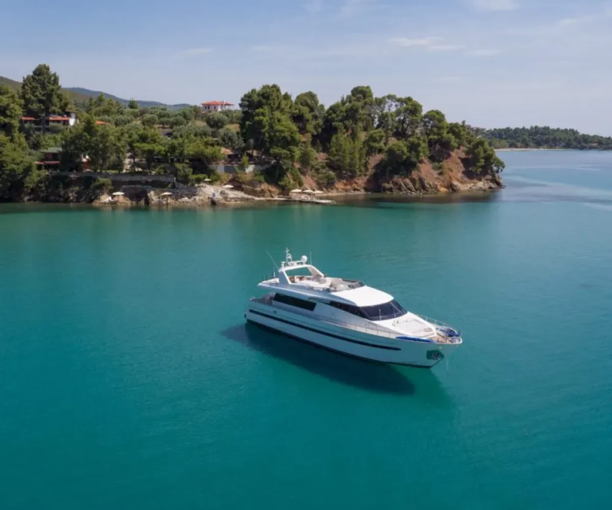 the-bird_375-1000x800